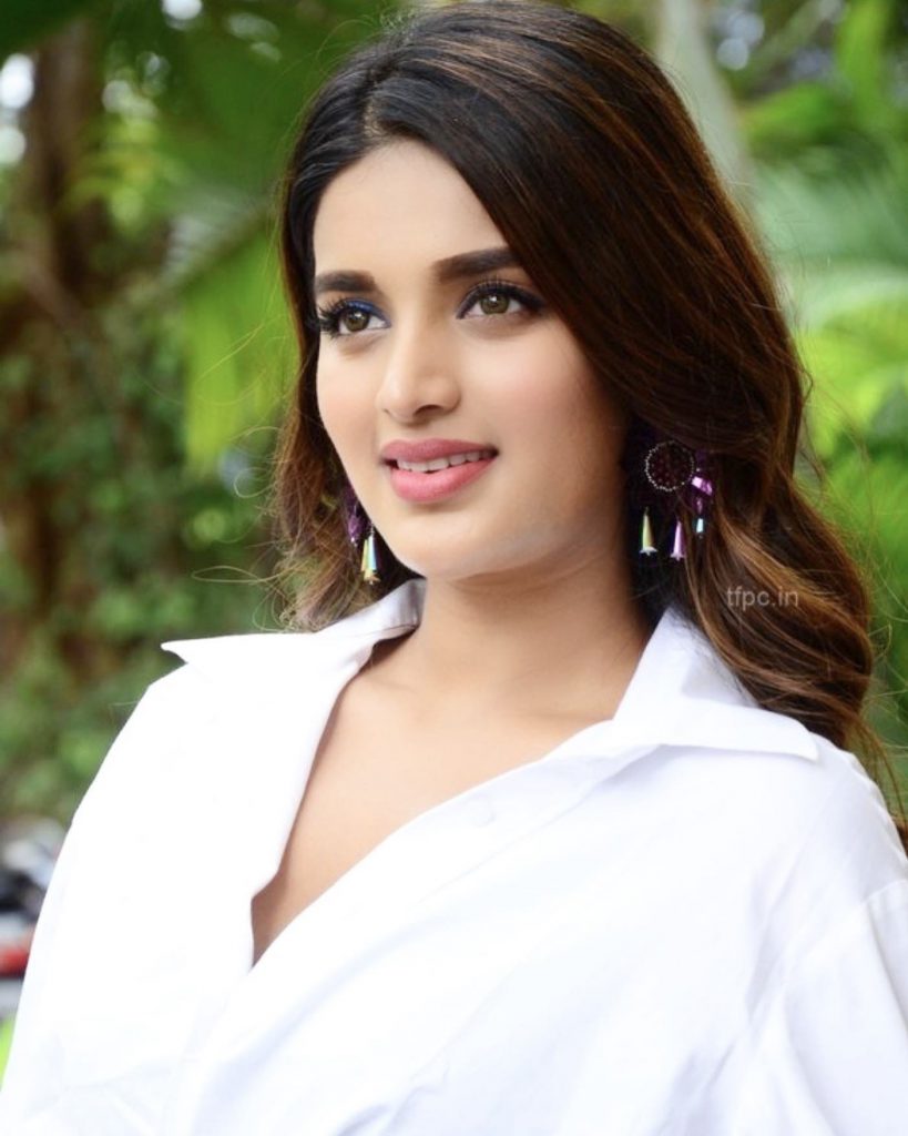 I Smart Shankar's actress Nidhhi Agerwal's new classic look with a ...